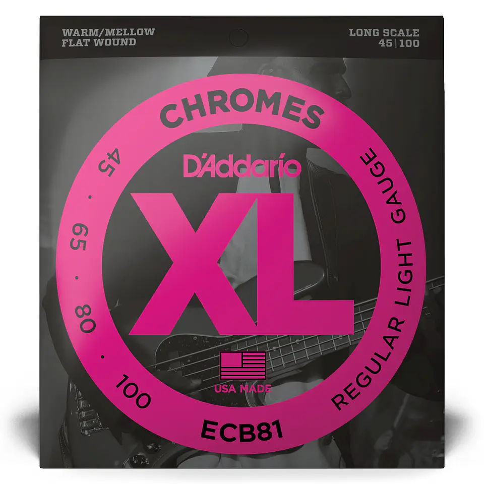 Set Cuerdas Bajo Flat 45-100 Cromo ECB81 Daddario 2