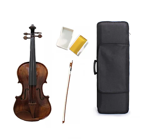 Violin Livorno Deluxe  4/4 Liv300-1