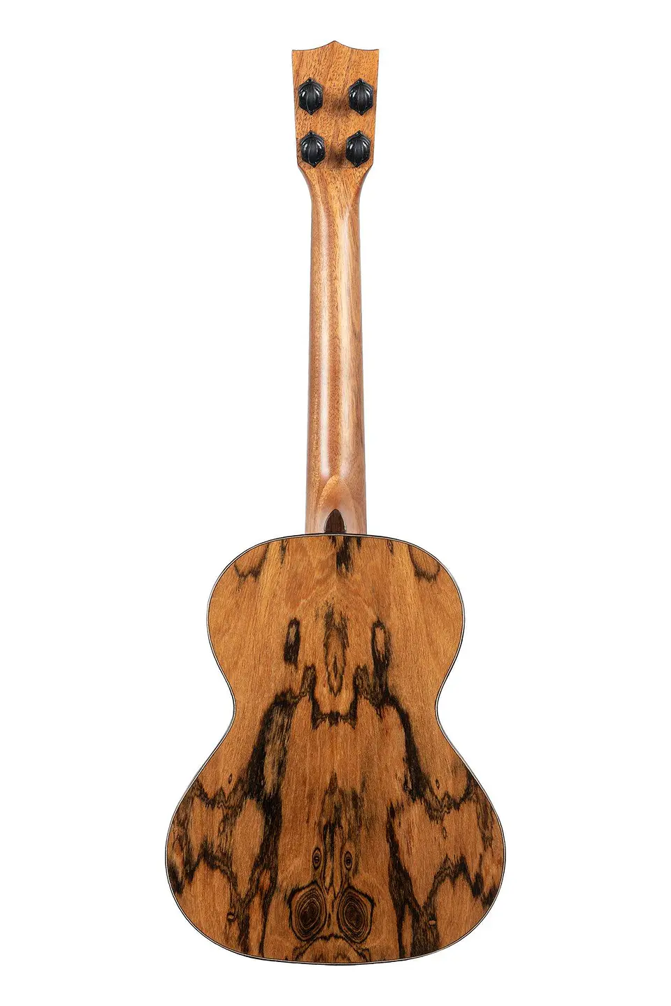 Ukelele Kala Premier Exotic Bocote tenor Ka-px-bct-t 3