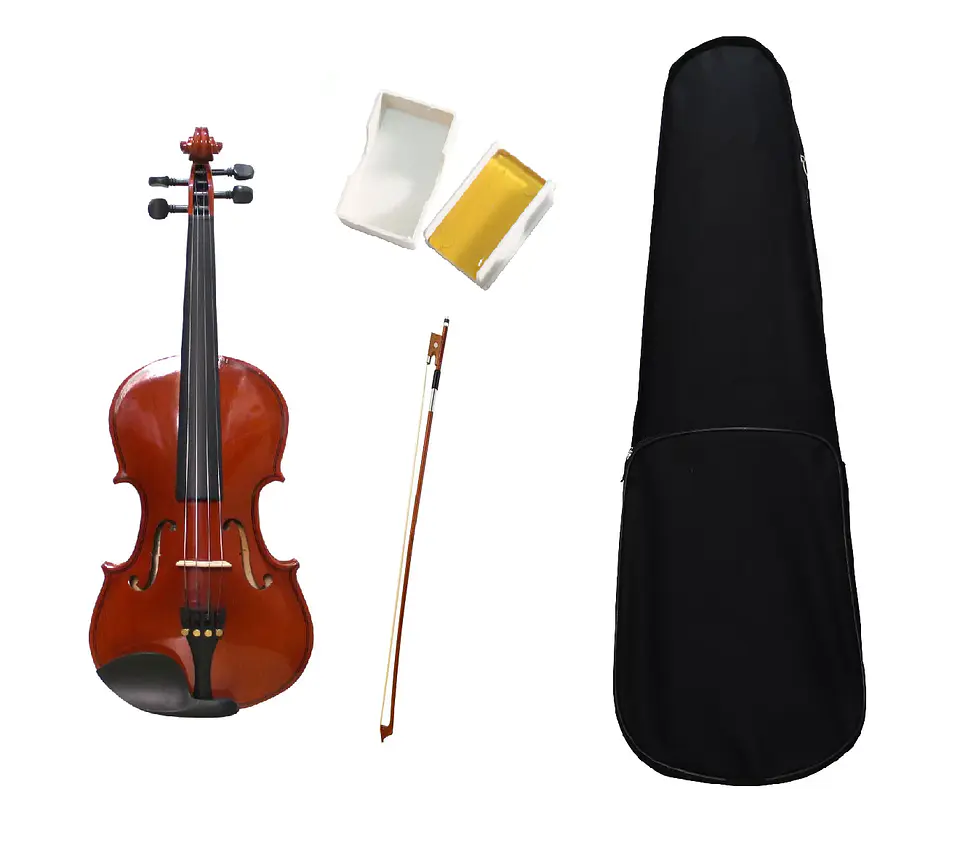 Violin Livorno Solid Ebony 4/4 Liv-50 1