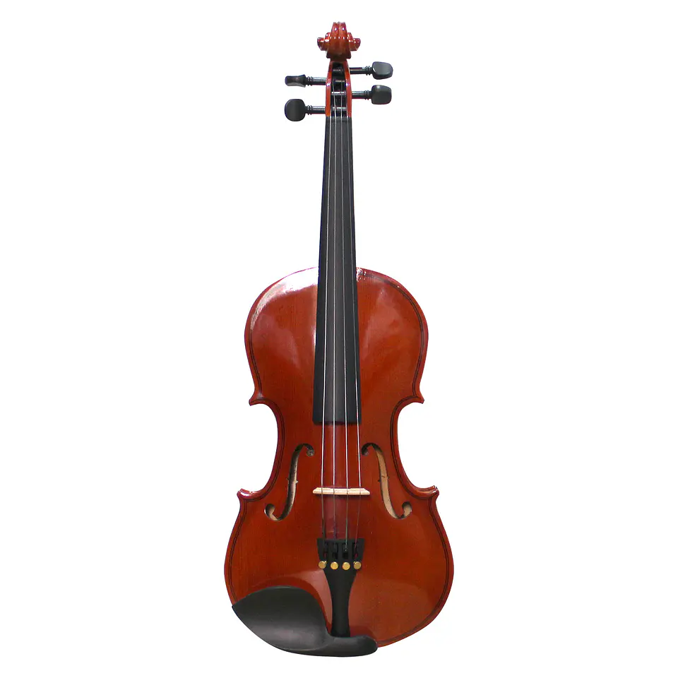 Violin Livorno Solid Ebony 4/4 Liv-50 2