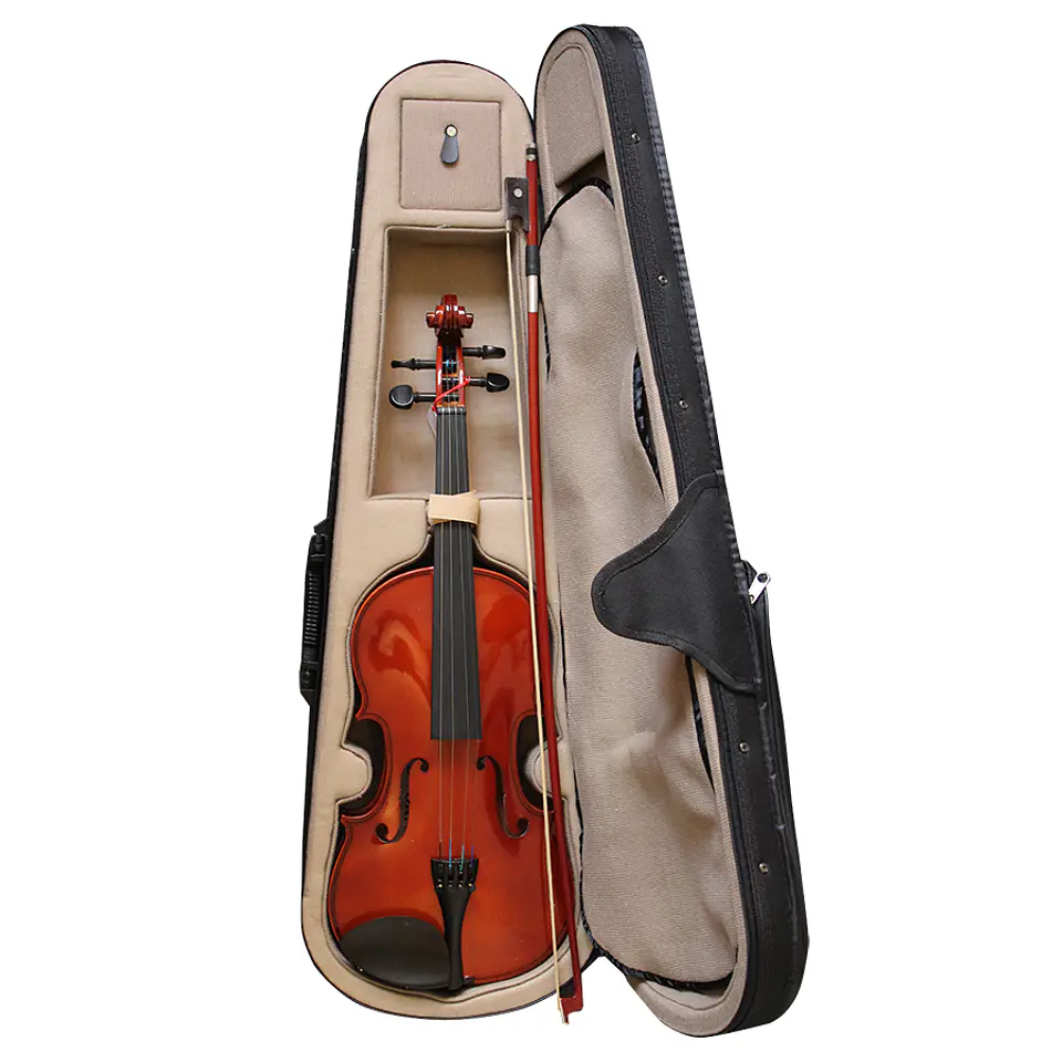 Violin Livorno Solid Ebony 4/4 Liv-50 3