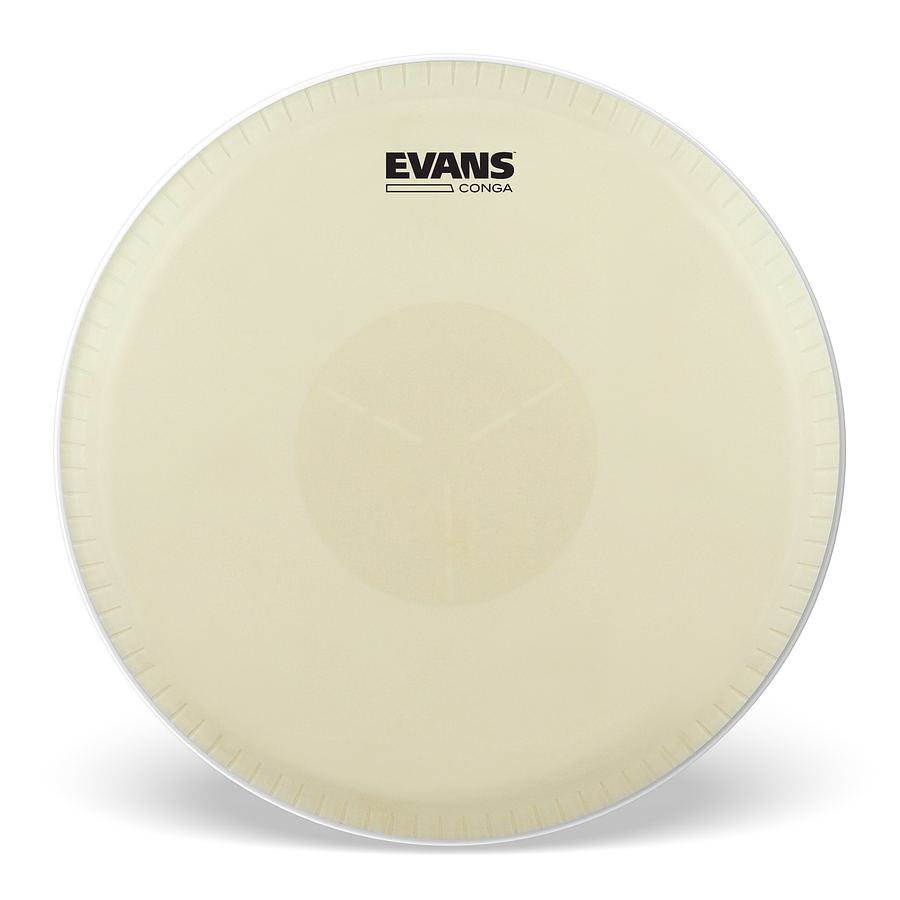 Parche Conga 11.00¨ TRI CTR Evans