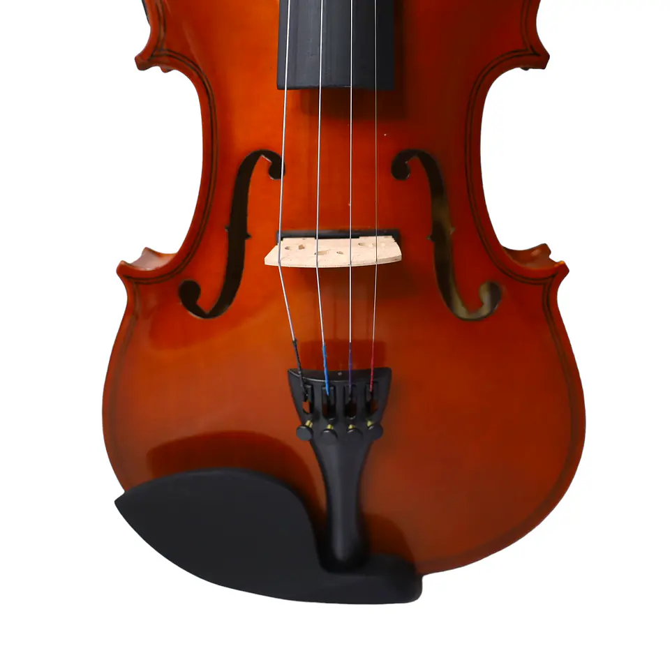 Violín Electroacústico Livorno 4/4  LIV-E-35 4
