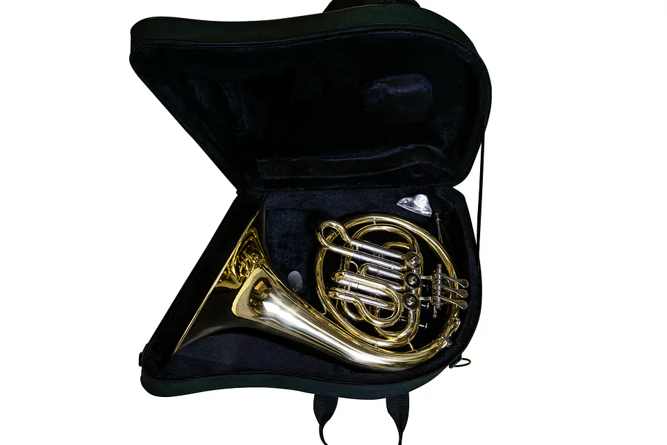 Corno Francés Dorado Allegro 3 Llaves Bb All7742L 3