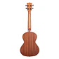Ukelele Kala Tenor Caoba *Ka-T - Miniatura 3