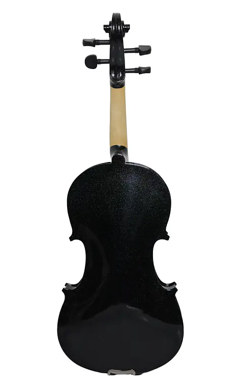 Violín Livorno Color Negro Brillante 4/4 LIV-20BS