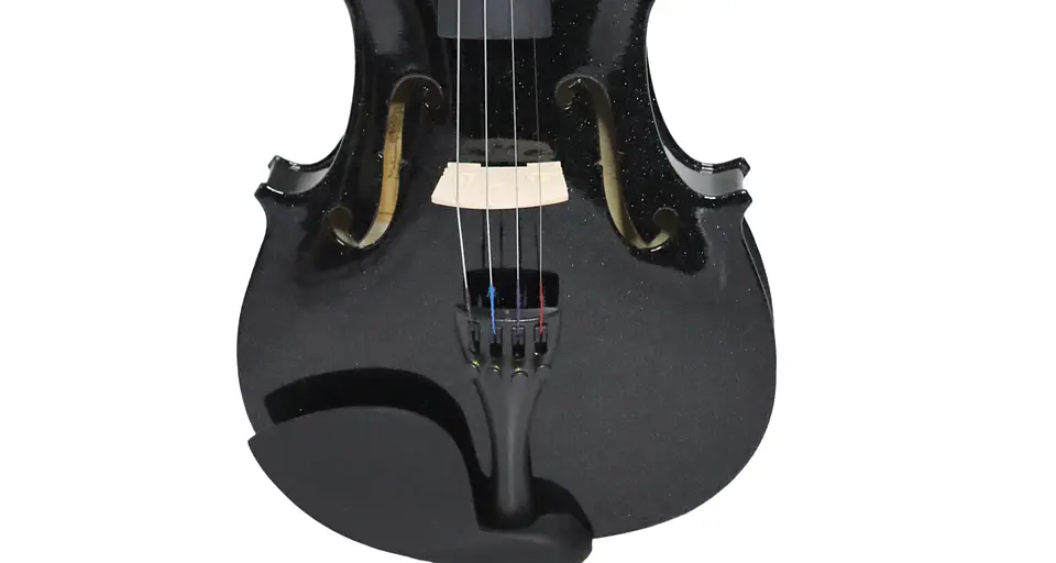 Violín Livorno Color Negro Brillante 4/4 LIV-20BS 3
