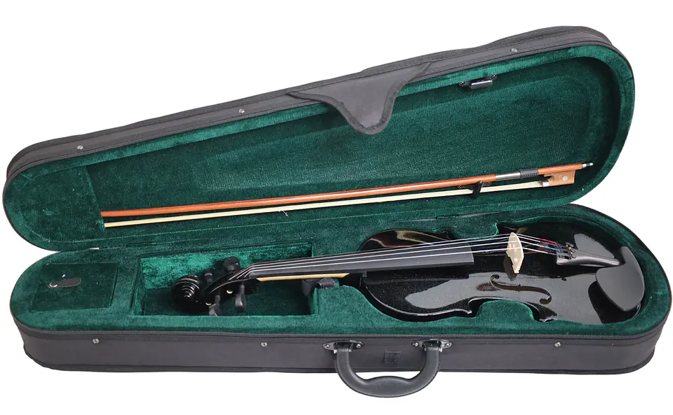 Violín Livorno Color Negro Brillante 4/4 LIV-20BS 4