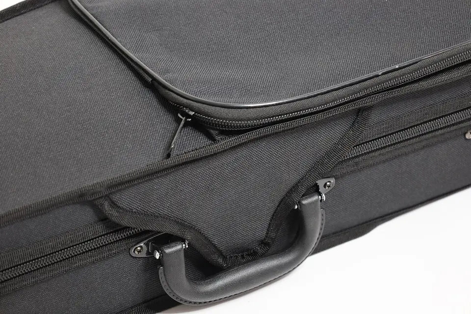 Violín Livorno Color Negro Brillante 4/4 LIV-20BS 5