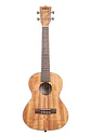 Ukelele Kala Tenor Pacific Walnut KA-PWT - Miniatura 3