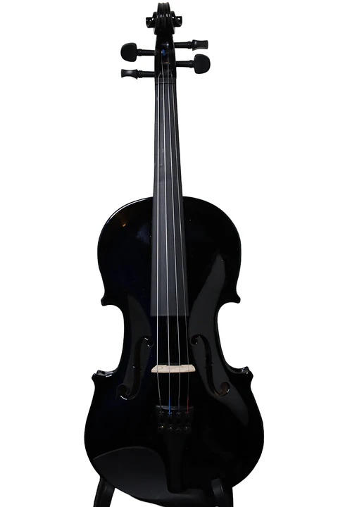 Violín Livorno Color Negro 1/2 LIV-27BK