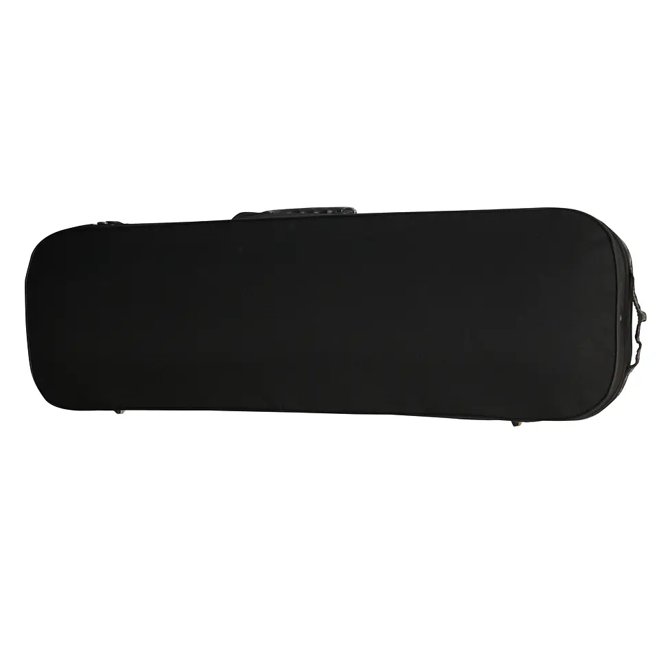 Violin Livorno Profesional Liv-100-1 4