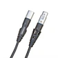 Cable Micrófono XLR 7,6mts. PW-MS-25 Daddario - Miniatura 1
