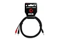 Cable Kirlin MiniPlug - 2 RCA 0.3m YE-364L - Miniatura 2