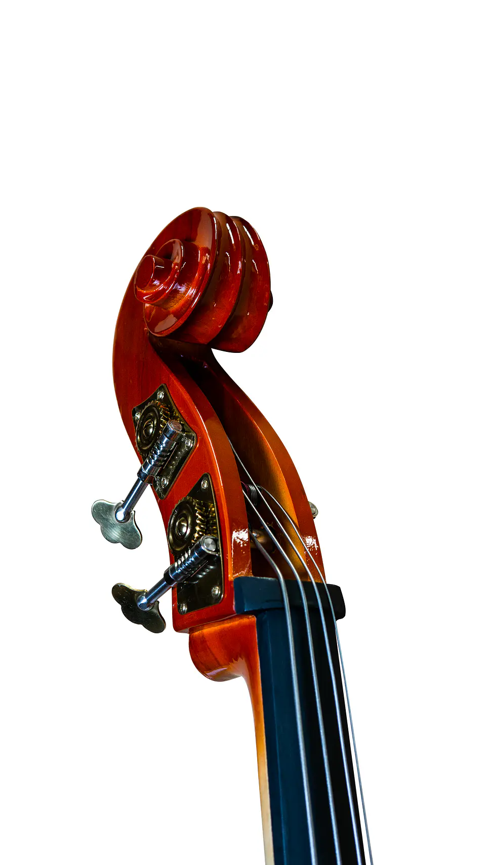 Contrabajo Deluxe Livorno 3/4 Lib-700 4