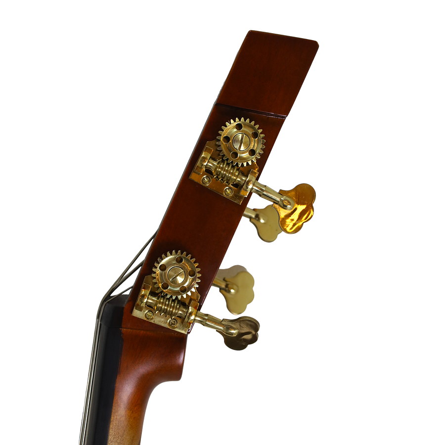 Contrabajo Eléctrico Livorno 3/4 LIB-100E