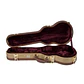 Hardcase Archtop Tweed Tenor Kala Tct-At - Miniatura 3