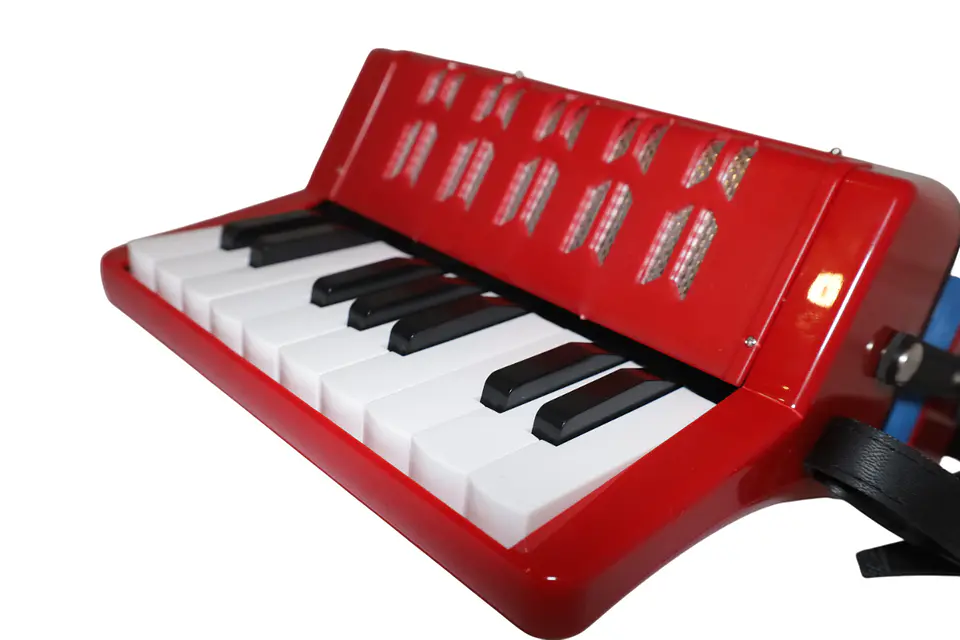 Acordeon de Plastico 17 Teclas 8 bajos ALL104-1RD Allegro 2