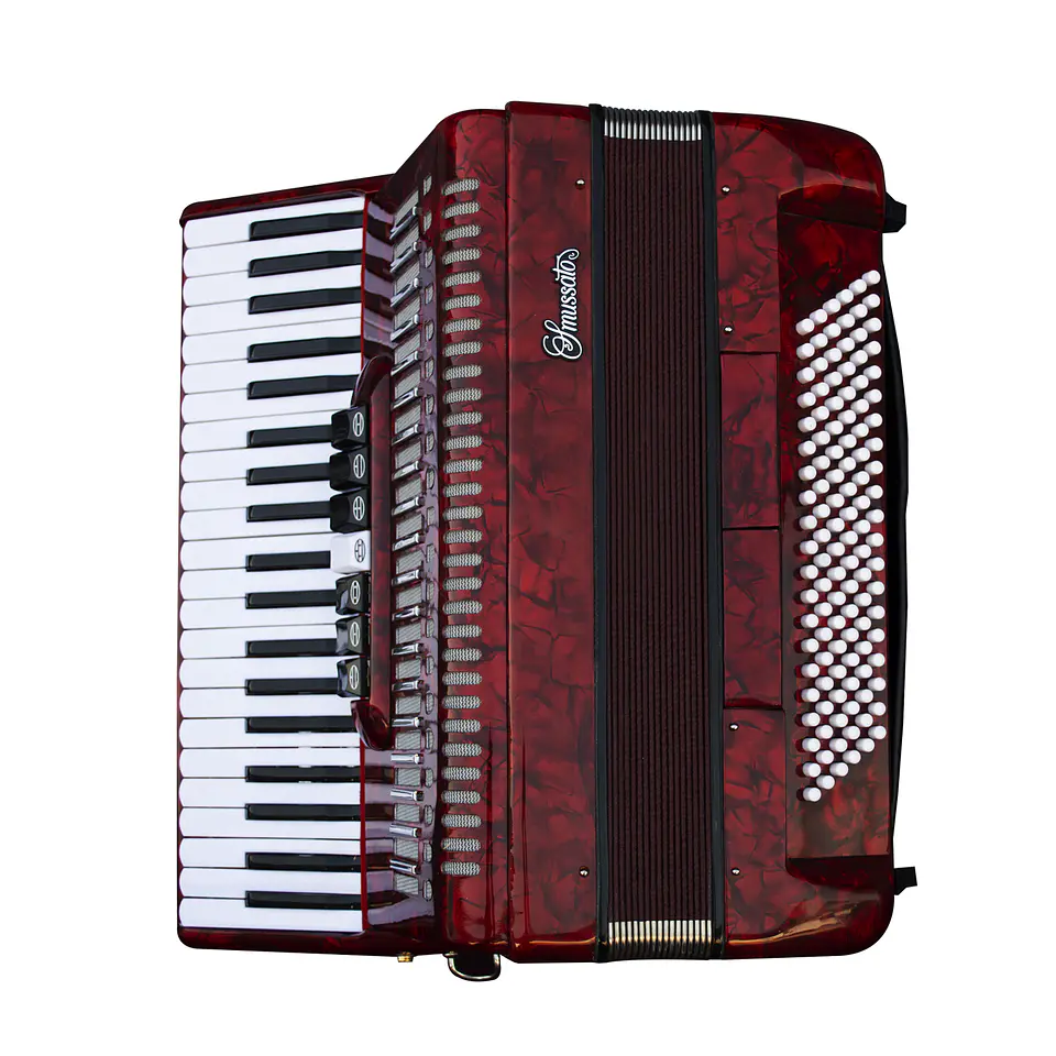 Acordeón Smussato 41K 120(3)B 1311Rd 2