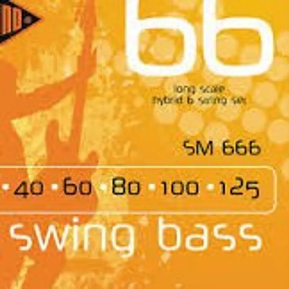 Set Bajo Eléctrico Swing Bass 6 30-125 Sm666 2