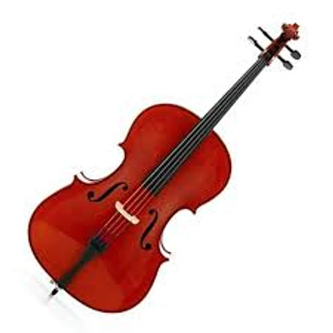 Mc760l Violoncello Livorno 4/4