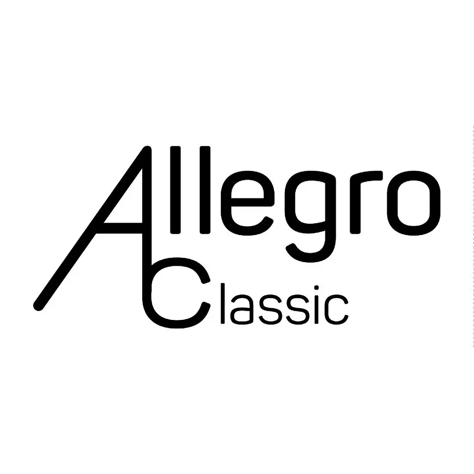 Correa Para Guitarra O Bajo Allegro ALL-NY-BR 2