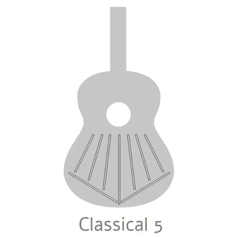 Guitarra Clásica 5P+Funda 4/4 25 Mm Alhambra 6