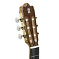 Guitarra Clásica 4P+Funda 4/4 25 Mm Alhambra - Miniatura 3