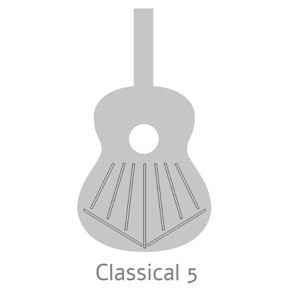 Guitarra Clásica 4P+Funda 4/4 25 Mm Alhambra 7