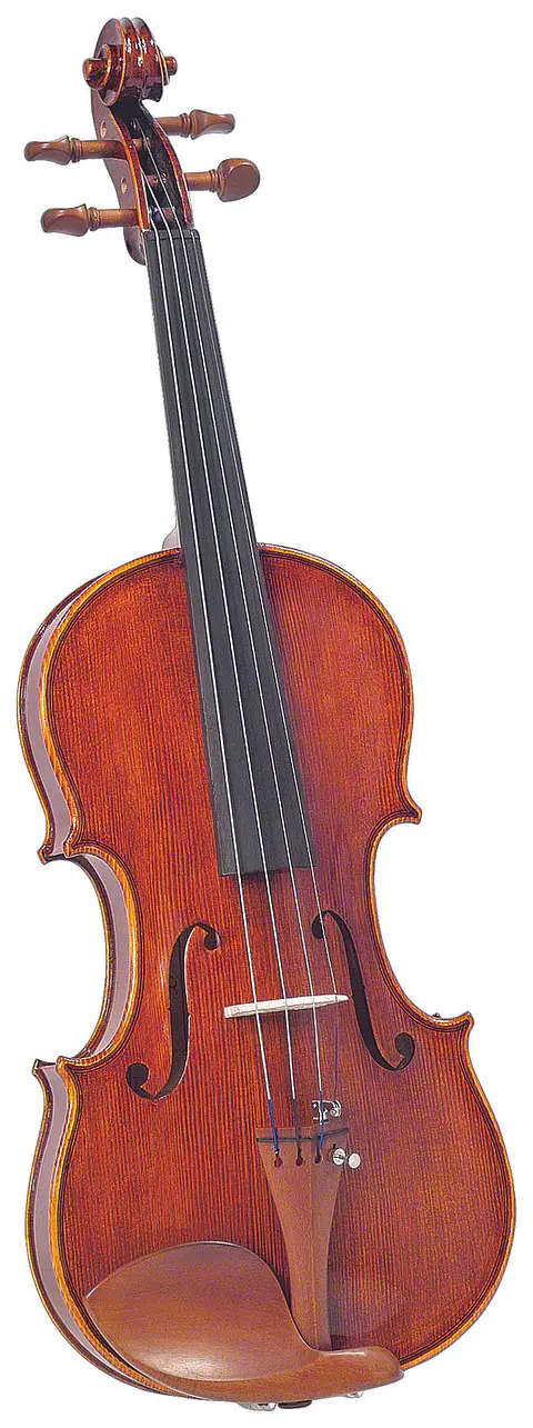 Violin Outfit 4/4 SV-1260 Cremona