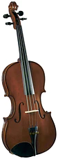 Viola 16