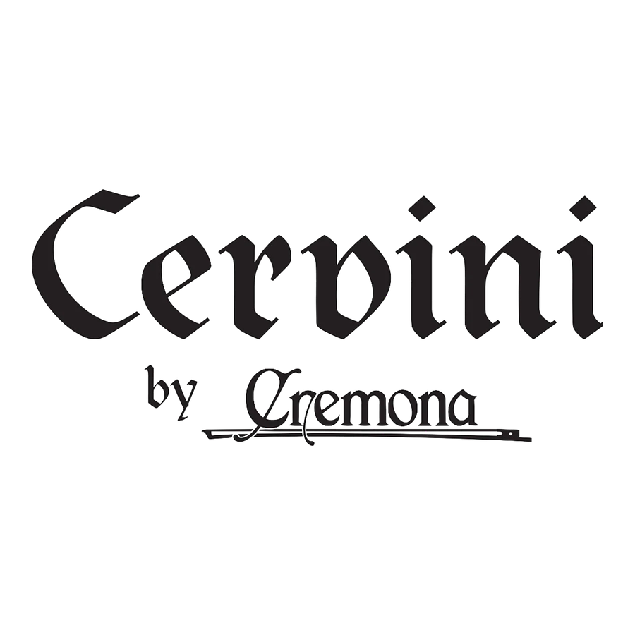 Violín 1/10 HV-100 Cervini