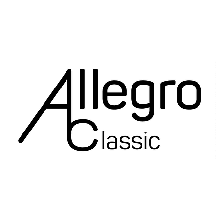 Tamborin Ajustable 20 Cms All812