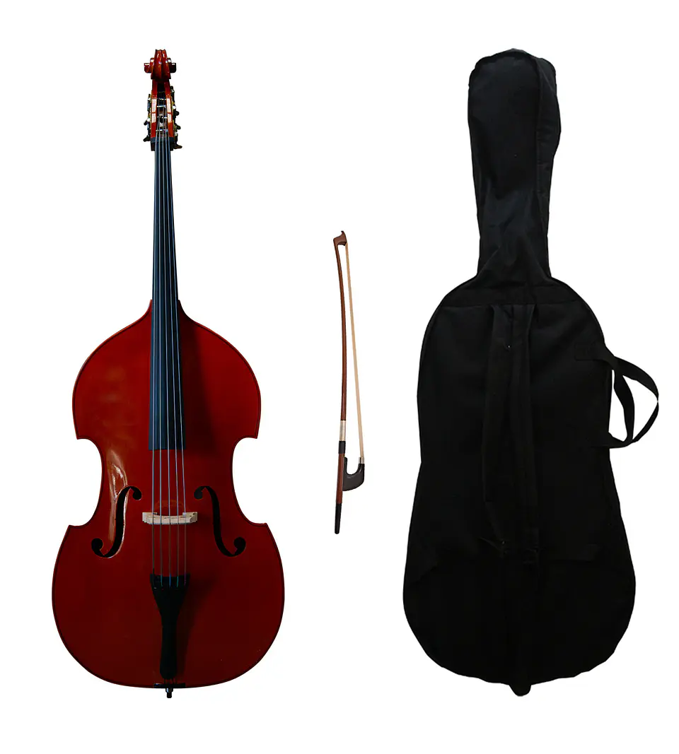 Contrabajo 5 Cuerdas Livorno 3/4 Lib-755 1