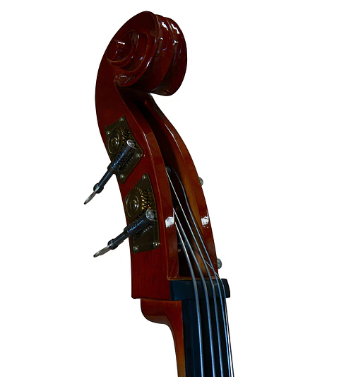 Contrabajo 5 Cuerdas Livorno 3/4 Lib-755