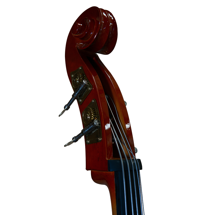 Contrabajo 5 Cuerdas Livorno 3/4 Lib-755