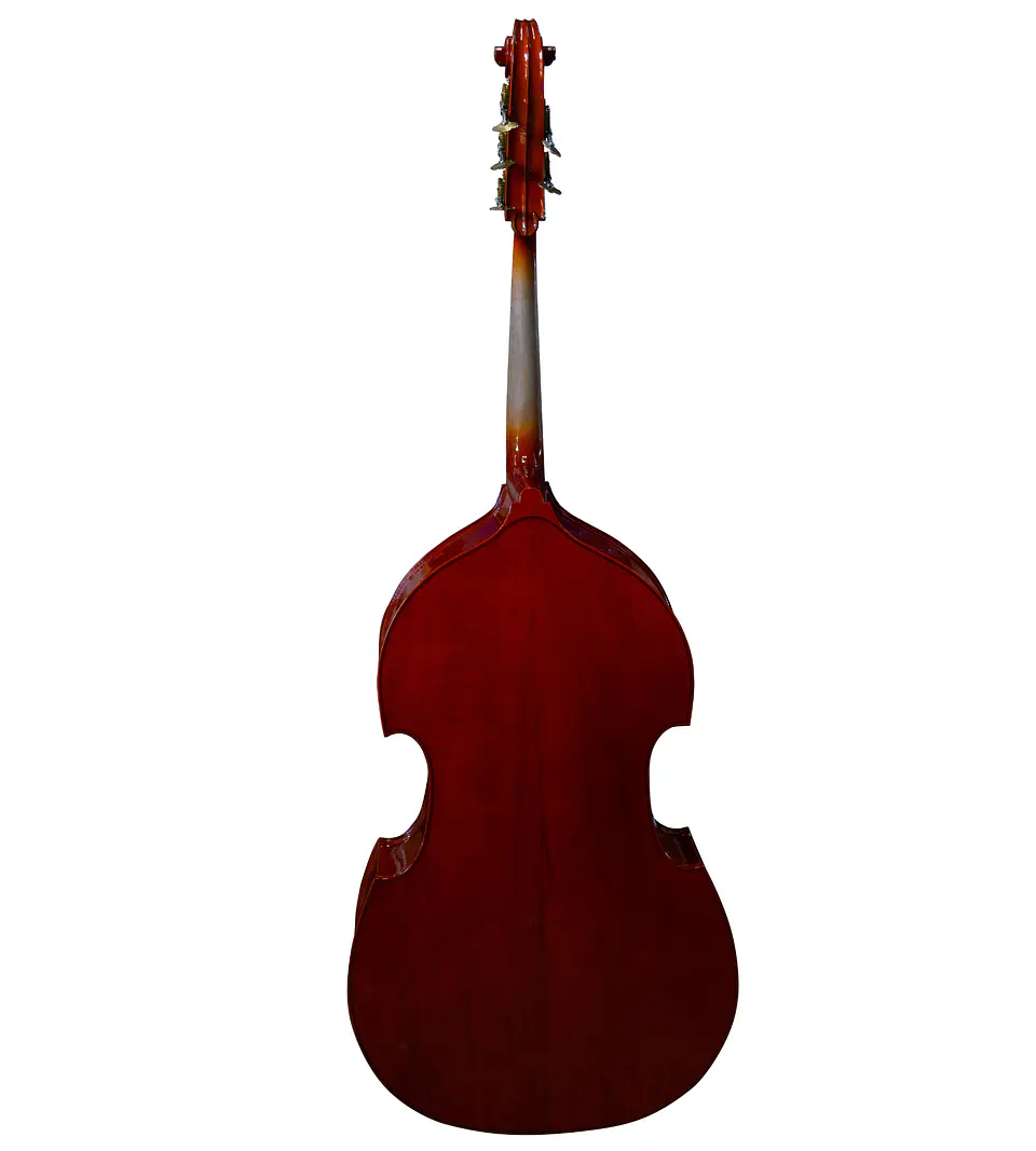 Contrabajo 5 Cuerdas Livorno 3/4 Lib-755 3