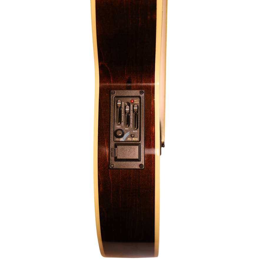 Guitarra Thin Eq cuerda metálica 40