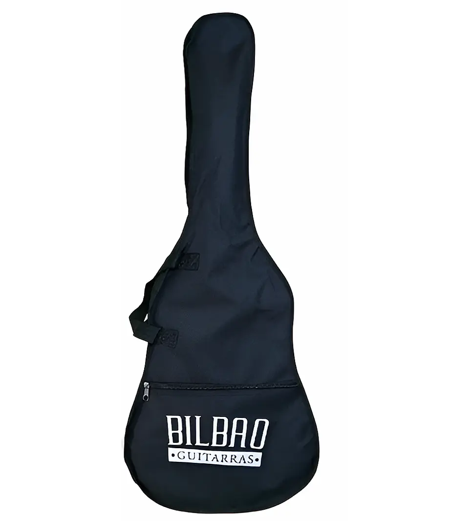 Guitarra Thin Eq cuerda metálica 40