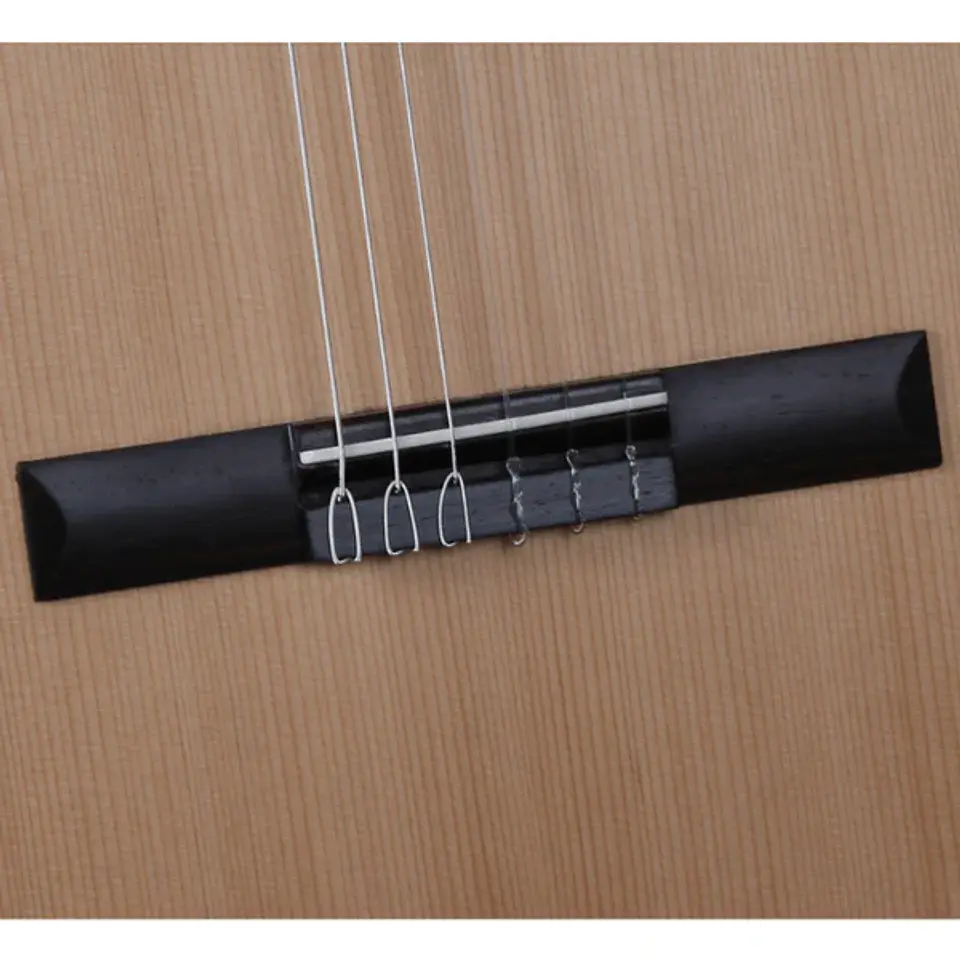 Guitarra Clásica Z Nature EQ E +Funda 4/4 10 Mm Alhambra 6