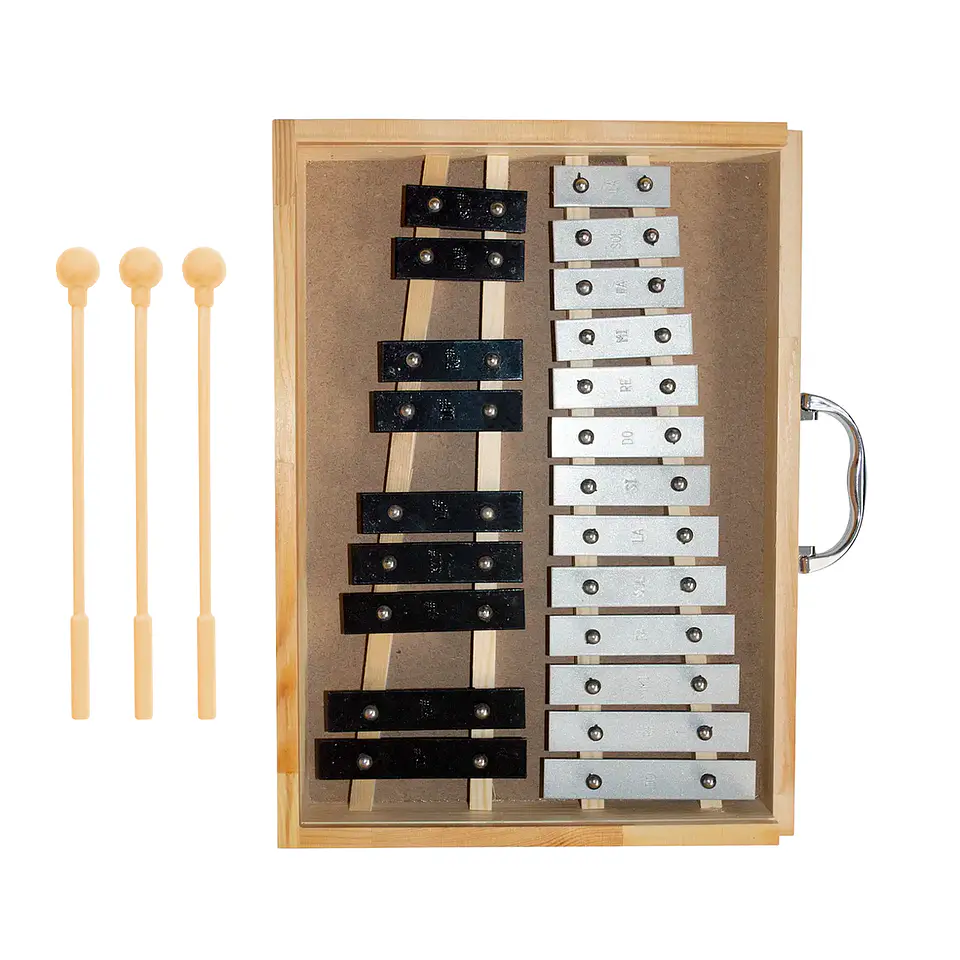 Metalófono Cromático 22 Tonos Caja Madera All22Ag 1