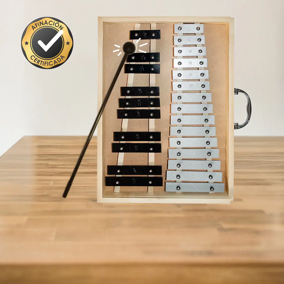 Metalófono Cromático de 25 Aluminio Caja madera All25Ag 3