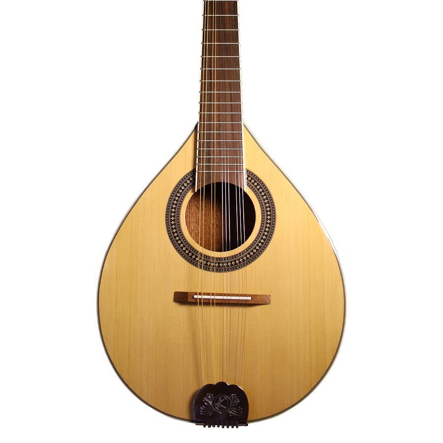 Mandolina 10 Cuerdas M10-STG Bilbao