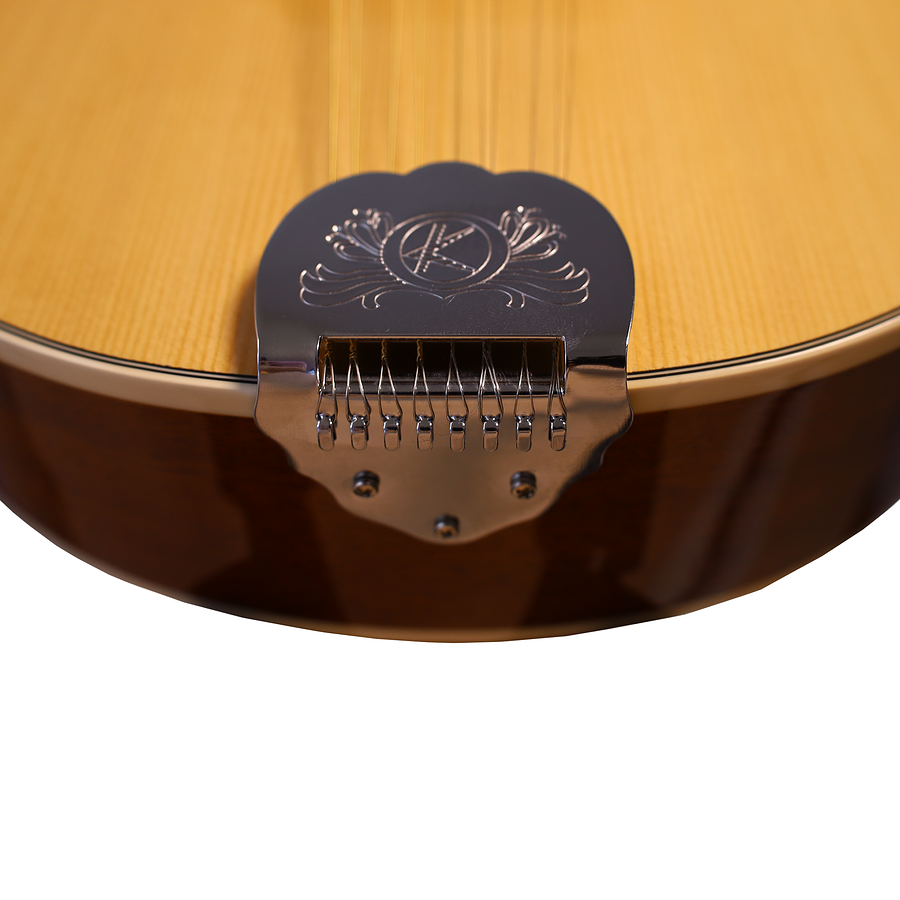 Mandolina 10 Cuerdas M10-STG Bilbao