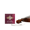 Set Cello Rs3000