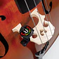 Afinador Cello-Contrabajo Nexxus 360  Pw-Ct-29 - Miniatura 8