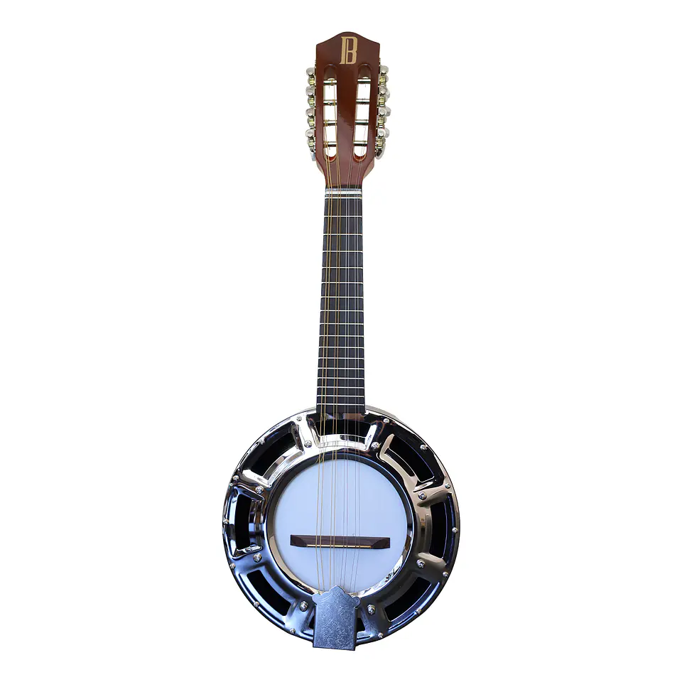 Banjo 8 Cuerdas BNJ-8STG Bilbao 1