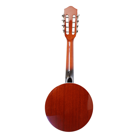 Banjo 8 Cuerdas BNJ-8STG Bilbao