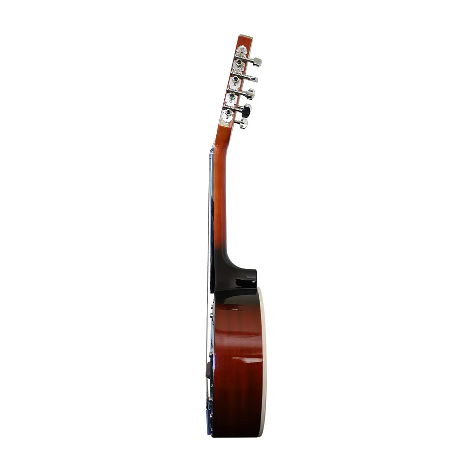 Banjo 8 Cuerdas BNJ-8STG Bilbao 4